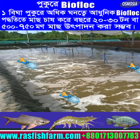 biofloc fish farming book in bengali pdf