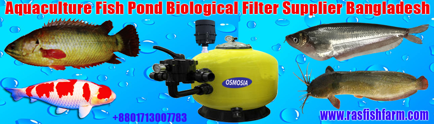 Fish Tank Supplier in Bangladesh, Fish Farming Tank Supplier Bangladesh, RAS Fish Tank Supplier Company in Bangladesh, RAS Fish Tank Importer Company in Bangladesh, RAS Indoor Fish Tank Importer Company in Bangladesh, RAS Fish Tank Importer in Bangladesh, RAS Fish Tank Importer Bangladesh, RAS Tank Supplier Bangladesh, RAS Tank Supplier Company in Bangladesh, Industrial Fish Farming RAS Fish Tank, Industrial Fish Farming RAS Fish Tank Supplier in Bangladesh, Recirculating Aquaculture System/ RAS Fish Tank Supplier in Bangladesh, Industrial RAS Fish Tank Supplier in Bangladesh RAS Industrial Fish Tank Supplier in Bangladesh, Fish Pond Fish Tank Supplier in Bangladesh, Fiberglass Fish Tank Supplier Company in Bangladesh, Fiberglass Fish Tank Buyers & Importers in Bangladesh, Fiberglass Fish Tank Importers & Exporter in Bangladesh, Fish Tank Importers & Exporter in Bangladesh, PP Fish Tank Importers & Exporter in Bangladesh, Ras PP Fish Tank Importers & Exporter in Bangladesh, Ras Fish Tank Manufacturer in Bangladesh