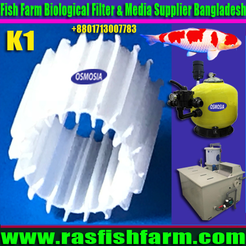 Indoor Ras Fish Farming Filter Supplier in Bangladesh, Indoor Ras Fish Farming Filter Supplier Company in Bangladesh, Indoor Ras Fish Farming Water Filter Supplier Company in Bangladesh, Indoor Ras Fish Farming Water Filter Supplier in Bangladesh, Indoor Ras Aquaculture Fish Farming Water Filter Supplier Company in Bangladesh, Indoor Ras Aquaculture Fish Farming Water Biological Filter Supplier Company in Bangladesh, Indoor Ras Aquaculture Fish Farming Water Biological Filter & K1 Media Supplier Company in Bangladesh