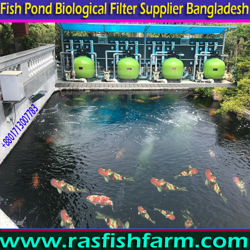 Recirculating Aquaculture Equipment, Recirculating Aquaculture Equipment in Bangladesh, Recirculating Aquaculture Equipment in India, Recirculating Aquaculture Equipment in Pakistan, Recirculating Aquaculture Equipment Company Services in Pakistan, Recirculating Aquaculture Equipment Companies Service in Pakistan, Recirculating Aquaculture Equipment Companies Service in India, Recirculating Aquaculture Equipment Companies Service in Saudi Arabia