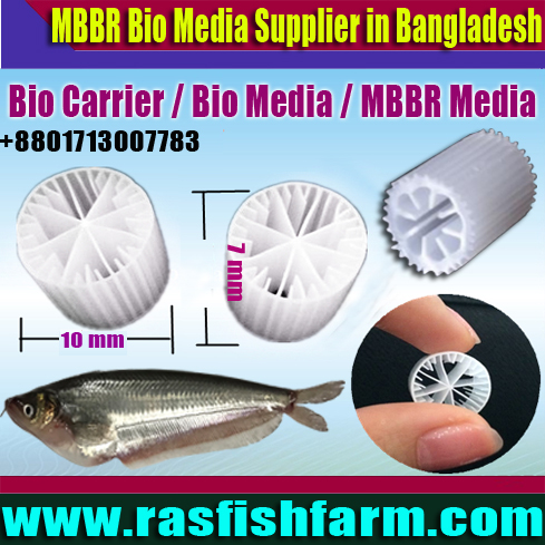 Bio Filter Fish Pond Tank Supplier Company in Bangladesh, Biofilter Fish Pond Tank Supplier Company in Bangladesh, Aquarium Fish Pond Tank Supplier Company in Bangladesh, Aquarium Bio Filter Media Supplier Company in Bangladesh, Biocell Filter Media in Bangladesh,Biocell Filter Media Supplier in Bangladesh, Ras Indoor Fish Farming Project Supplier in Bangladesh, Ras Indoor Fish Farming Project Machinery & Biological K1 K3 Filter Media Supplier Company in Bangladesh