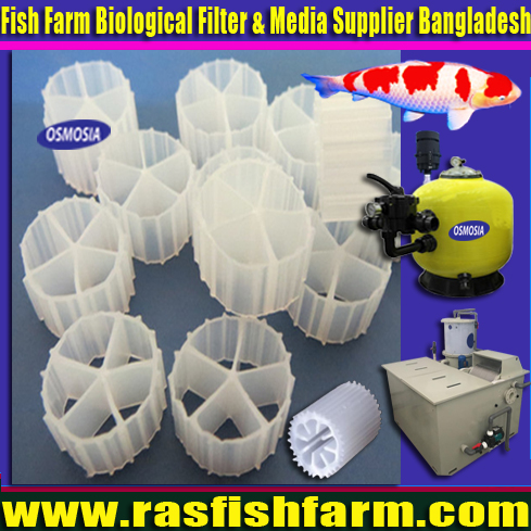 Indoor Fish Farming Bio Filter Company, Indoor Fish Farming Bio Filter Companies, Indoor Fish Farming Equipment and Bio Filter Tank Companies in Bangladesh, Indoor Fish Farming Bio Filter Supplier Companies in Dhaka Bangladesh, Indoor Fish Farming Bio Filter Manufacturer Companies in Dhaka Bangladesh, Indoor Fish Farming Bio Filter Manufacturers Companies in Dhaka Bangladesh