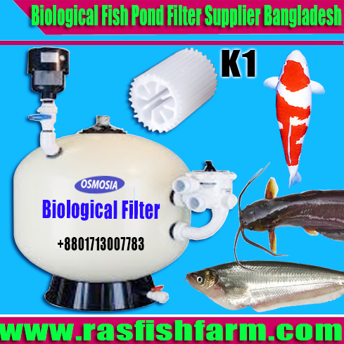 Biological Fish Pond Filter Supplier Company in Bangladesh, Aquaculture Biological Fish Pond Filter Supplier Company in Bangladesh, Aquaculture Fish Pond Biological Filter Supplier Company in Bangladesh, Aquaculture Fish Pond Biological Filter Supplier Company in India, Aquaculture Fish Pond Biological Filter & Blower Supplier Company in India, Aquaculture Fish Farming Biological Filter & Blower Supplier Company in India, Aquaculture Fish Farming Biological Filter & Blower Supplier Company in Bangladesh