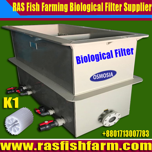 Biological Filter Manufacturers Companies in India, Biological Filter Manufacturers Companies in China, Biological Filter Manufacturers Companies in Bangladesh, Biological Filters in Bangladesh, Biological Filter in India, Biological Filter in China, Ras Biological Filter in China, Ras Biological Filters in India, Ras Biological Filter in Bangladesh, Ras Fish Farm Biological Filter in Bangladesh, Ras Fish Farm Biological Filters in India, Ras Fish Farm Biological Filters in China, Ras Fish Farming Biological Filter in Bangladesh